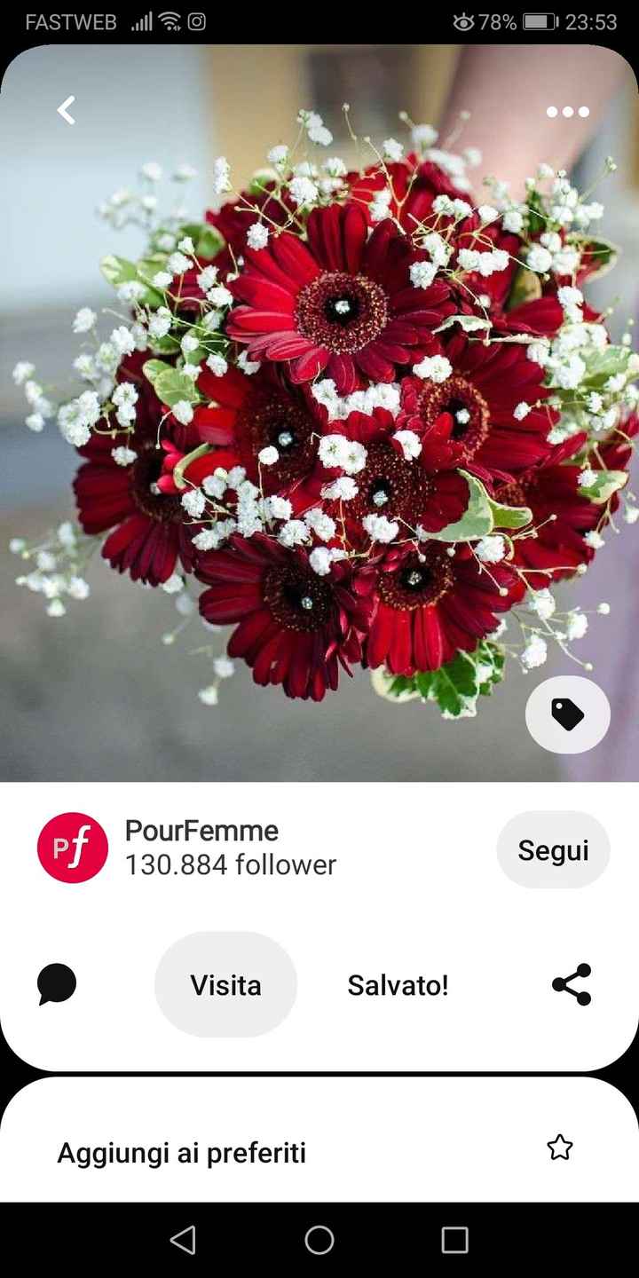 Bouquet - parere - 1