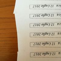 Ventagli personalizzati - 1