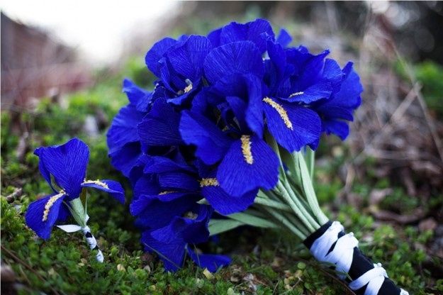 bouquet iris blu