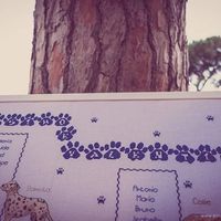 Dopo sposati i vostri tableau dove sono finiti? - 3