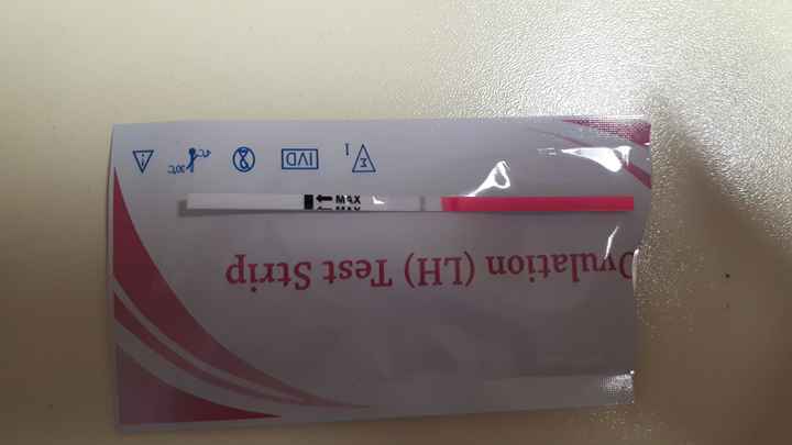 Chi non le aspetta per Aprile 2022 💓🍀🤞🏼 - 1