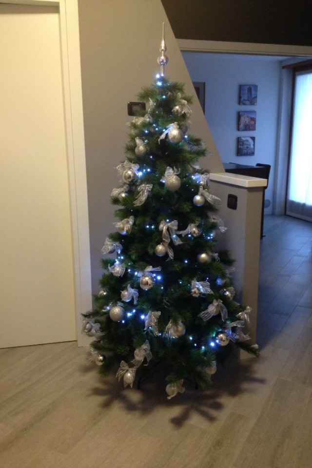 Il vostro albero di Natale! - 1
