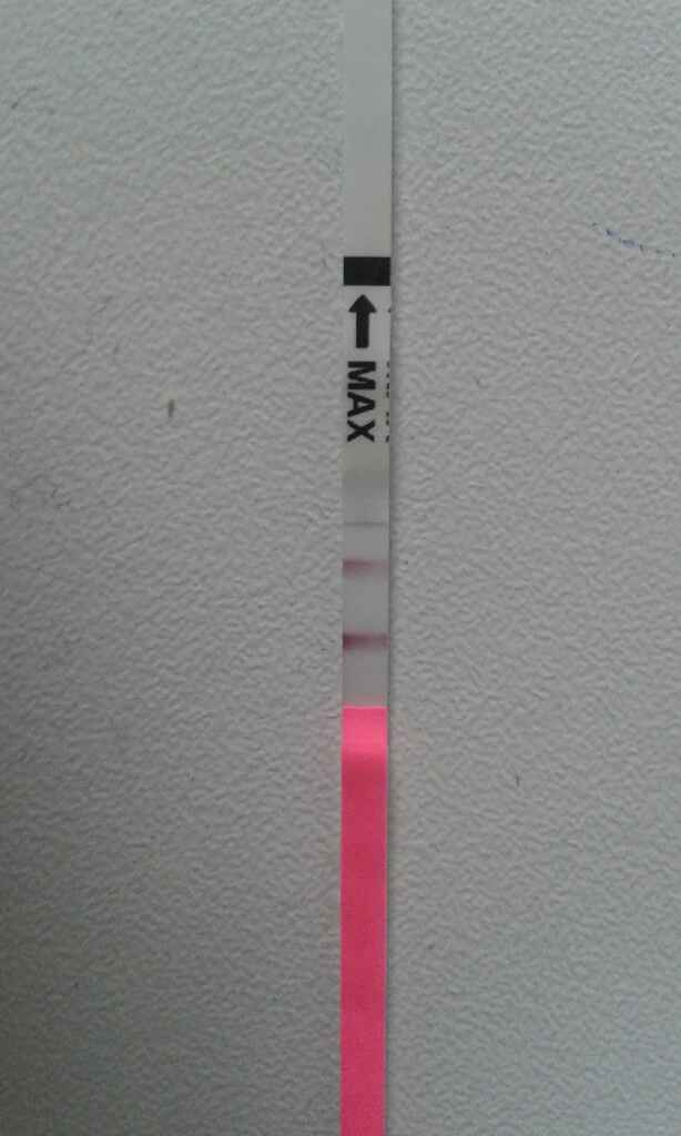 Parere test ovulazione canadese - 2