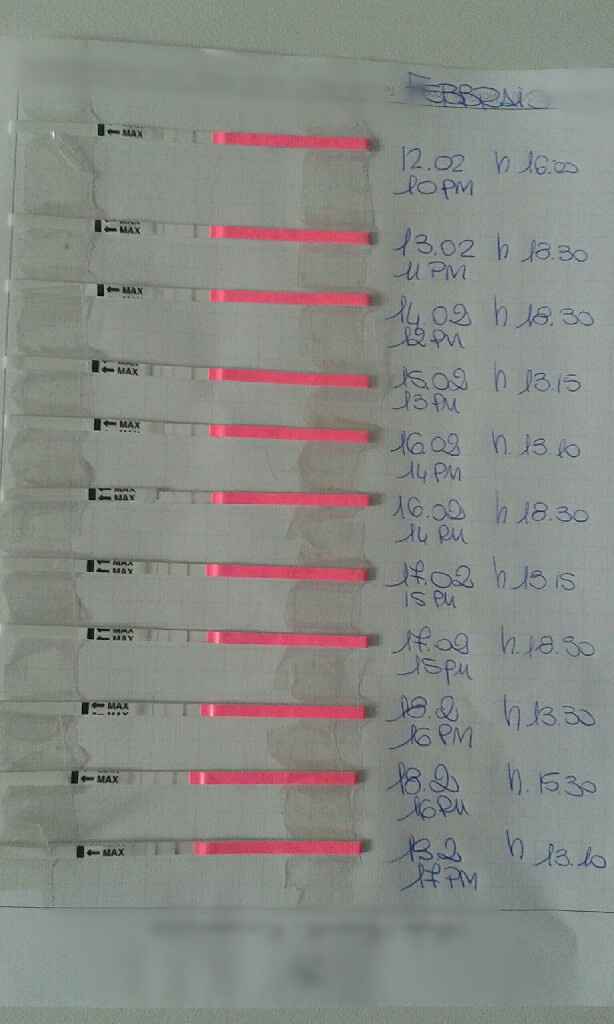 Parere test ovulazione canadese - 1