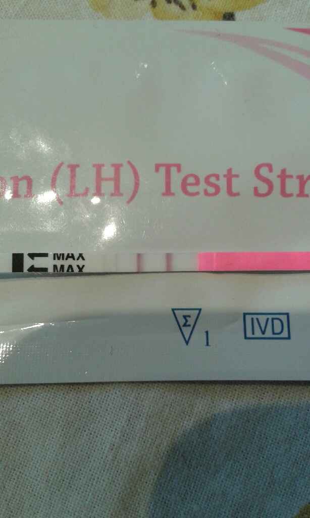 Esperte stick e tb - 1