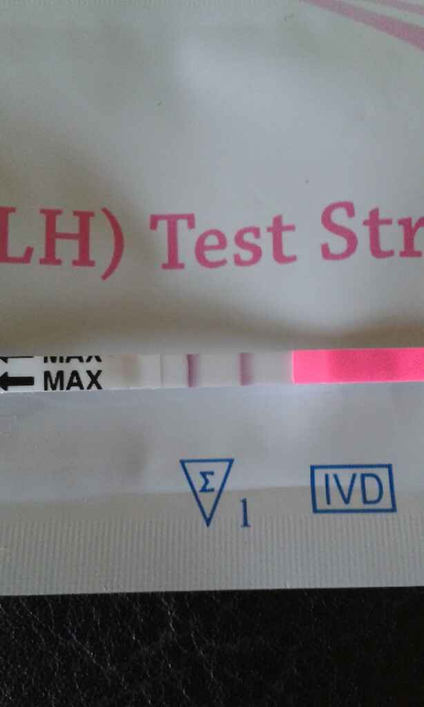 Esperte stick e tb - 1