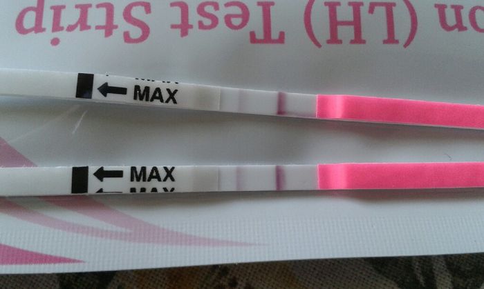Parere test ovulazione canadese - 1
