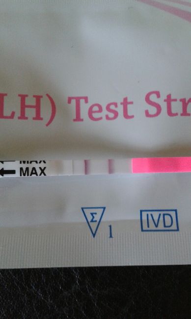 Esperte stick e tb - 1