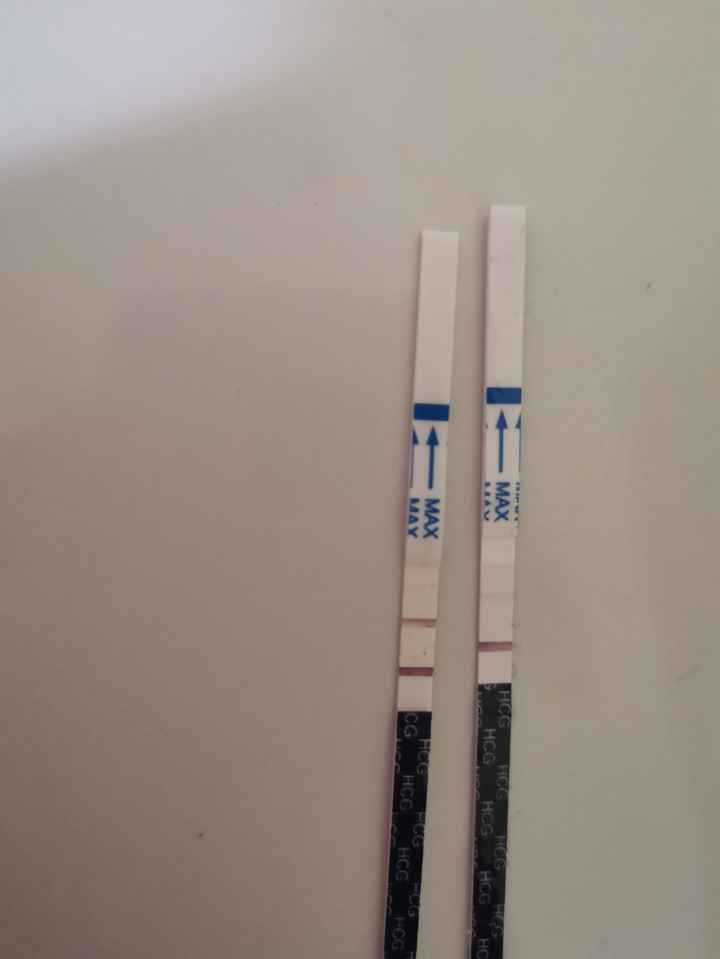 Chi non le aspetta per marzo 2023🍀 - 1