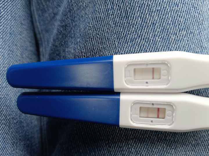 Chi non le aspetta a Novembre 2025 🍀 - 1