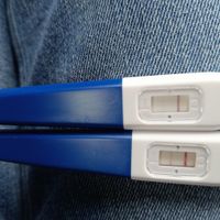 Chi non le aspetta a Novembre 2025 🍀 - 1