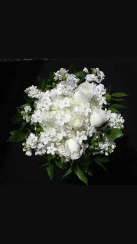 E il bouquet? - 1