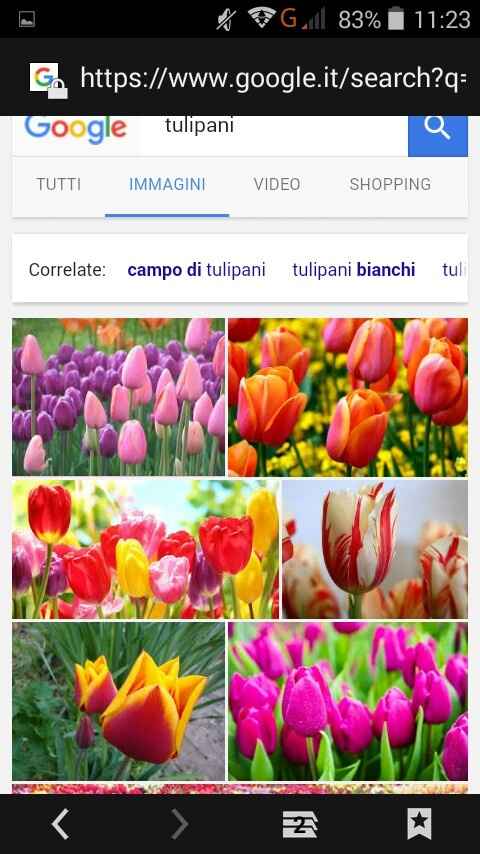 Fiori di aprile - 4