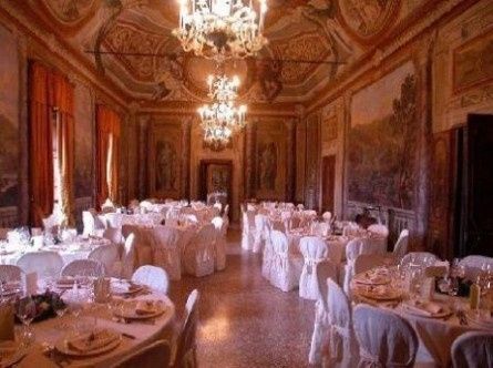 Elegante 5