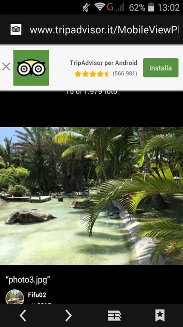 Viaggio scelto: mauritius! - 8