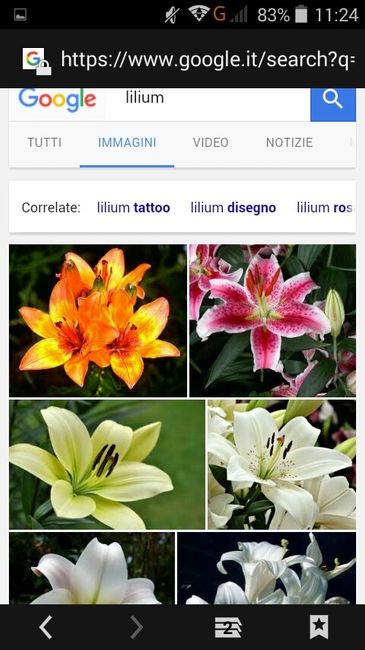 Fiori di aprile - 2