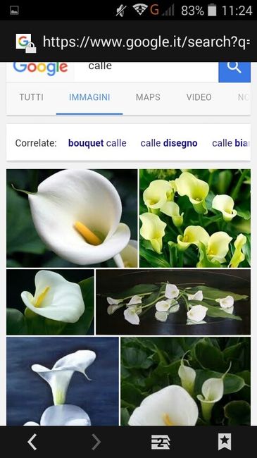 Fiori di aprile - 3