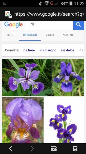 Fiori di aprile - 6