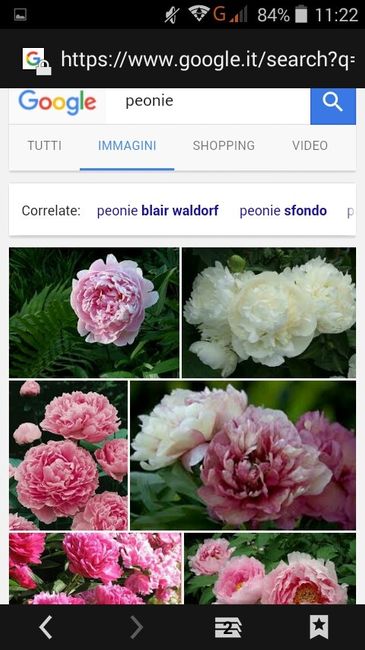 Fiori di aprile - 8