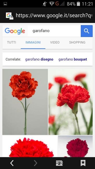 Fiori di aprile - 9