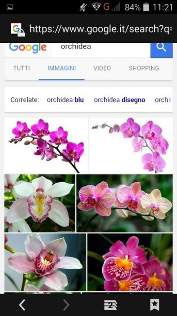 Fiori di aprile - 10