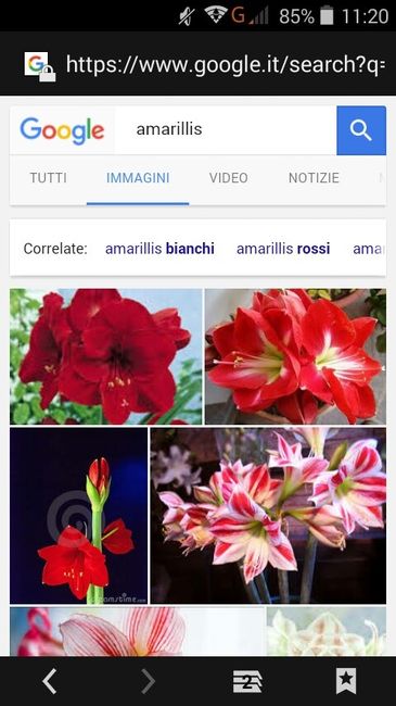Fiori di aprile - 11