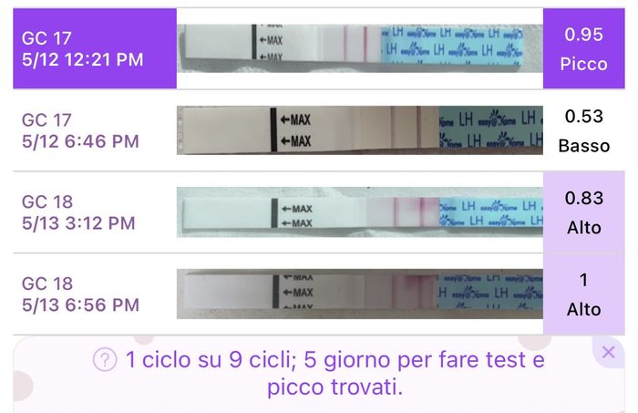 Test ovulazione - 1