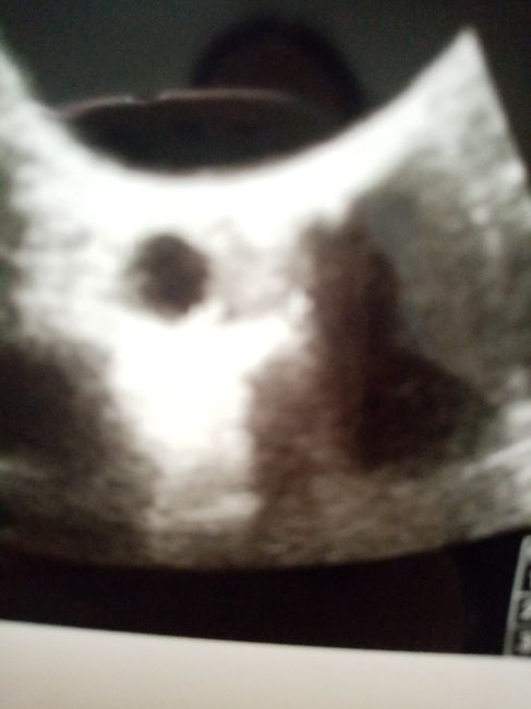 Non sò se potete aiuarmi... 1