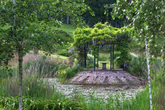 Tenuta San Liberato - Laghetto