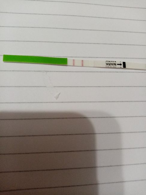 Primo monitoraggio. Mi date una mano? 2