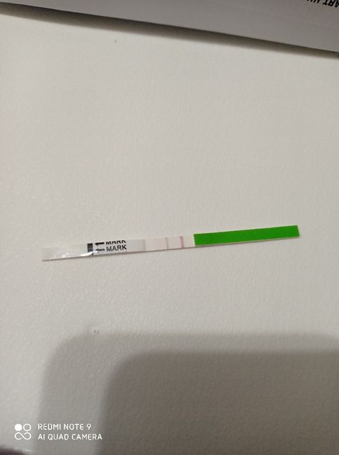 Chi non le aspetta per Novembre  2020 🍀❤️🍀❤️🍀❤️🍀❤️🍀❤️🍀❤️🍀 - 1