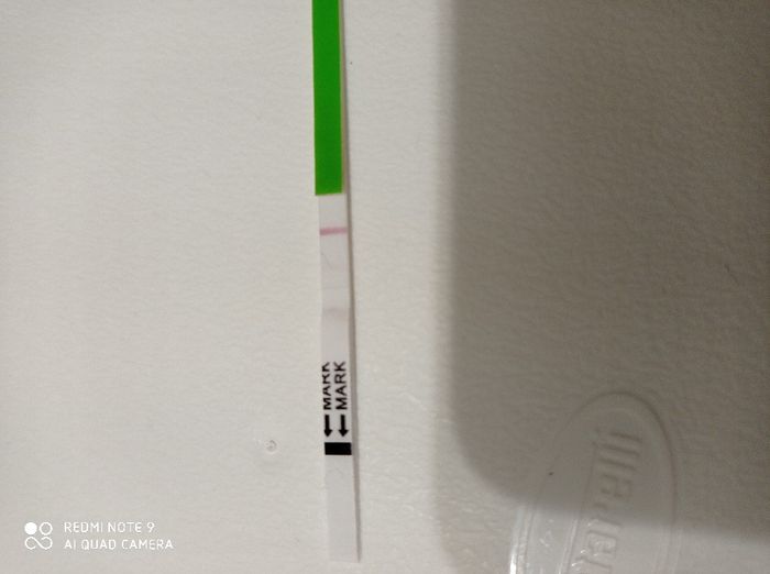 Chi non le aspetta per Novembre  2020 🍀❤️🍀❤️🍀❤️🍀❤️🍀❤️🍀❤️🍀 - 1