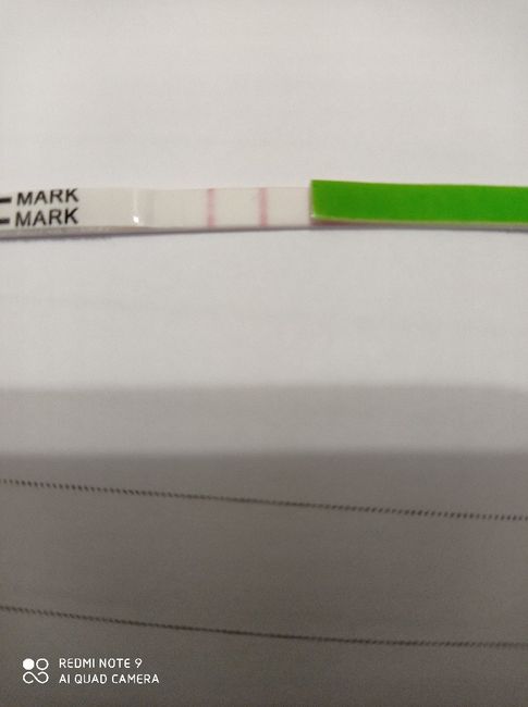 Chi non le aspetta per Dicembre 2020 🍀❣️🎄🎁🎀🌠 - 1