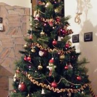 Albero di Natale