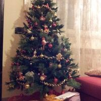 Albero di Natale 2