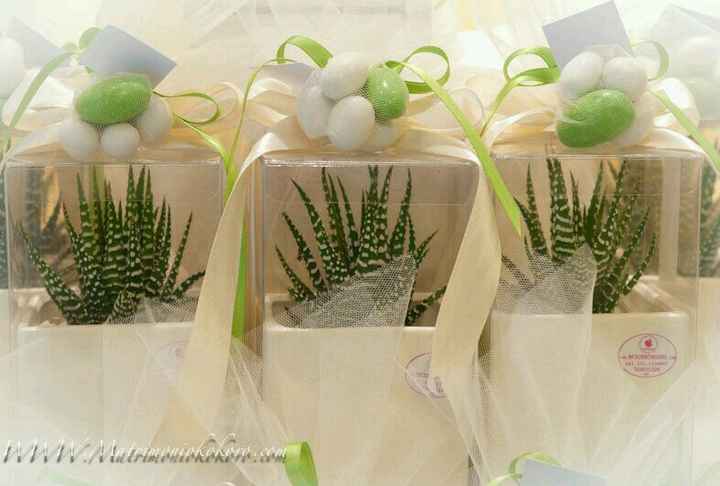 Pianta grassa che mi sta facendo impazzire!! - 3