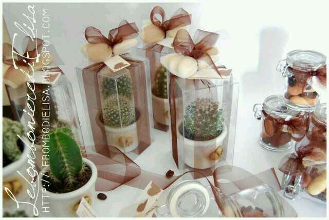 Pianta grassa che mi sta facendo impazzire!! - 4