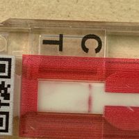 First to know? Chi l’ha giá  usato ? - 3