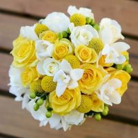 Il mio sarà tipo questo