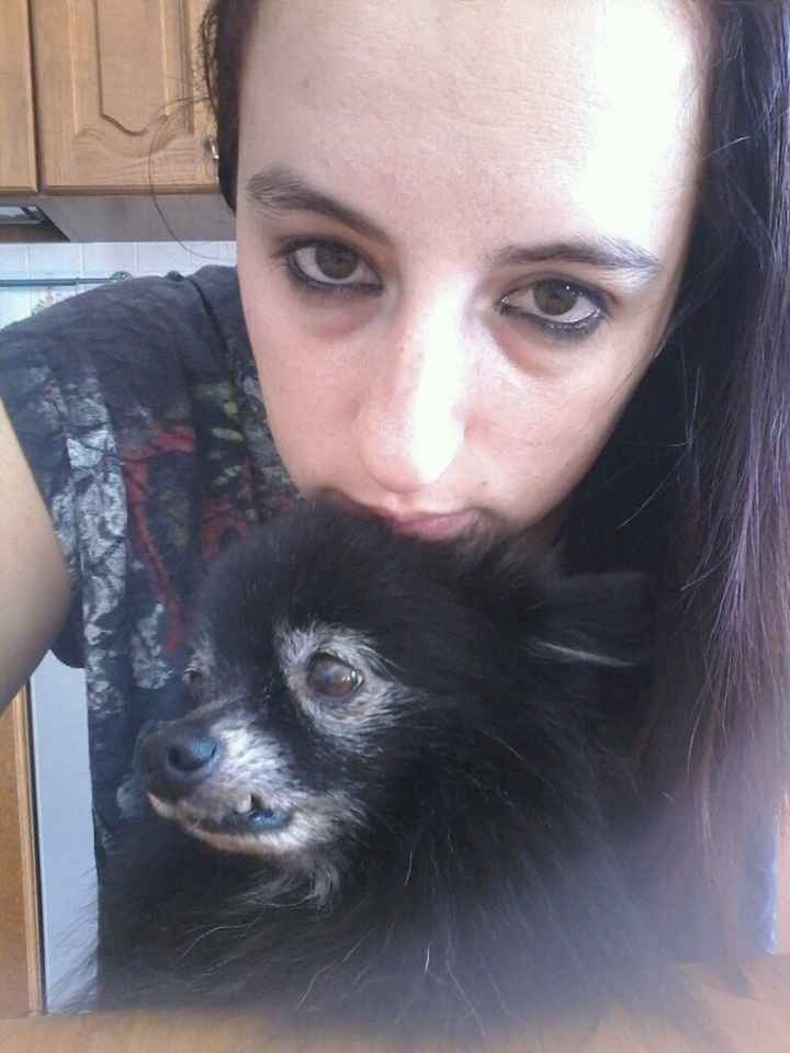 Cuccioli di casa... - 1