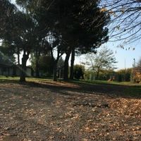 Foto chiesa - 5