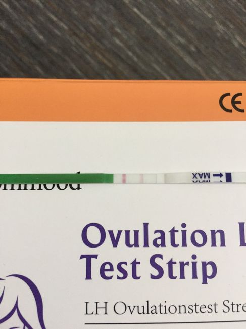 Aprile 2019 aspiranti mamme 1