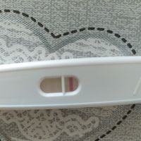 Chi non le aspetta per gennaio 2020 - 1