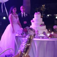 Ansia Coronavirus - 1