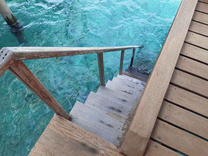 Viaggio di nozze - 1