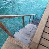 Viaggio di nozze - 1