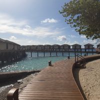 Viaggio di nozze - 2