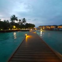 Viaggio di nozze - 3