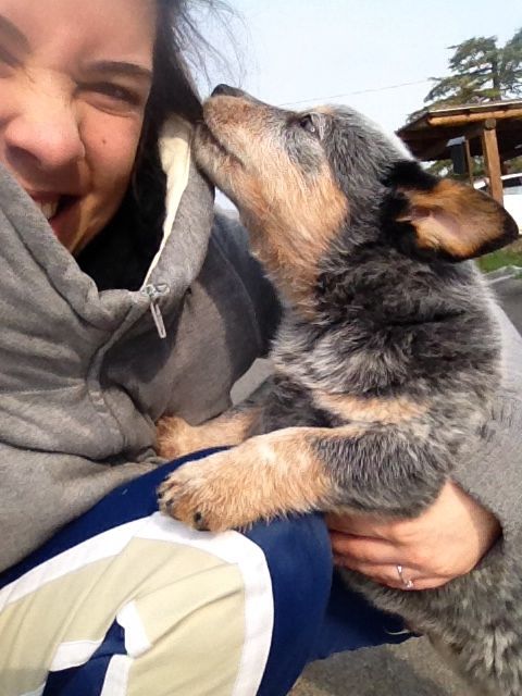 Too cute: i vostri amici animali - 1