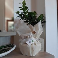 Mi fate vedere le vostre bomboniere? - 1